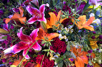 JK-Multi-color-Flowers-IMG_4434