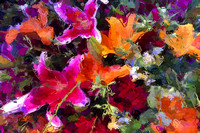 john Kirchhofer photopaint multiflowers
